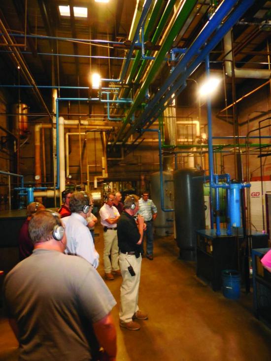 Participants in Energy Star Treasure Hunt