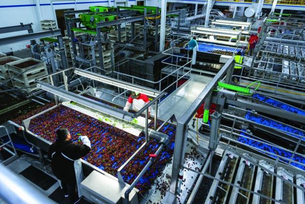 Sullair production site