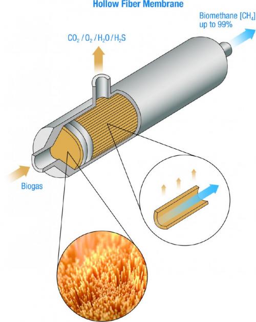 Hollow Fiber Membrane