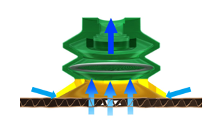 PIAB Picture 2