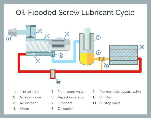 Oil-Flooded Graph