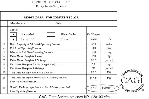 CGI Datasheet