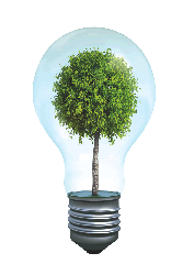 Lightbulb